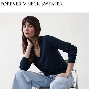 NWT Banana Republic Forever V-neck Sweater